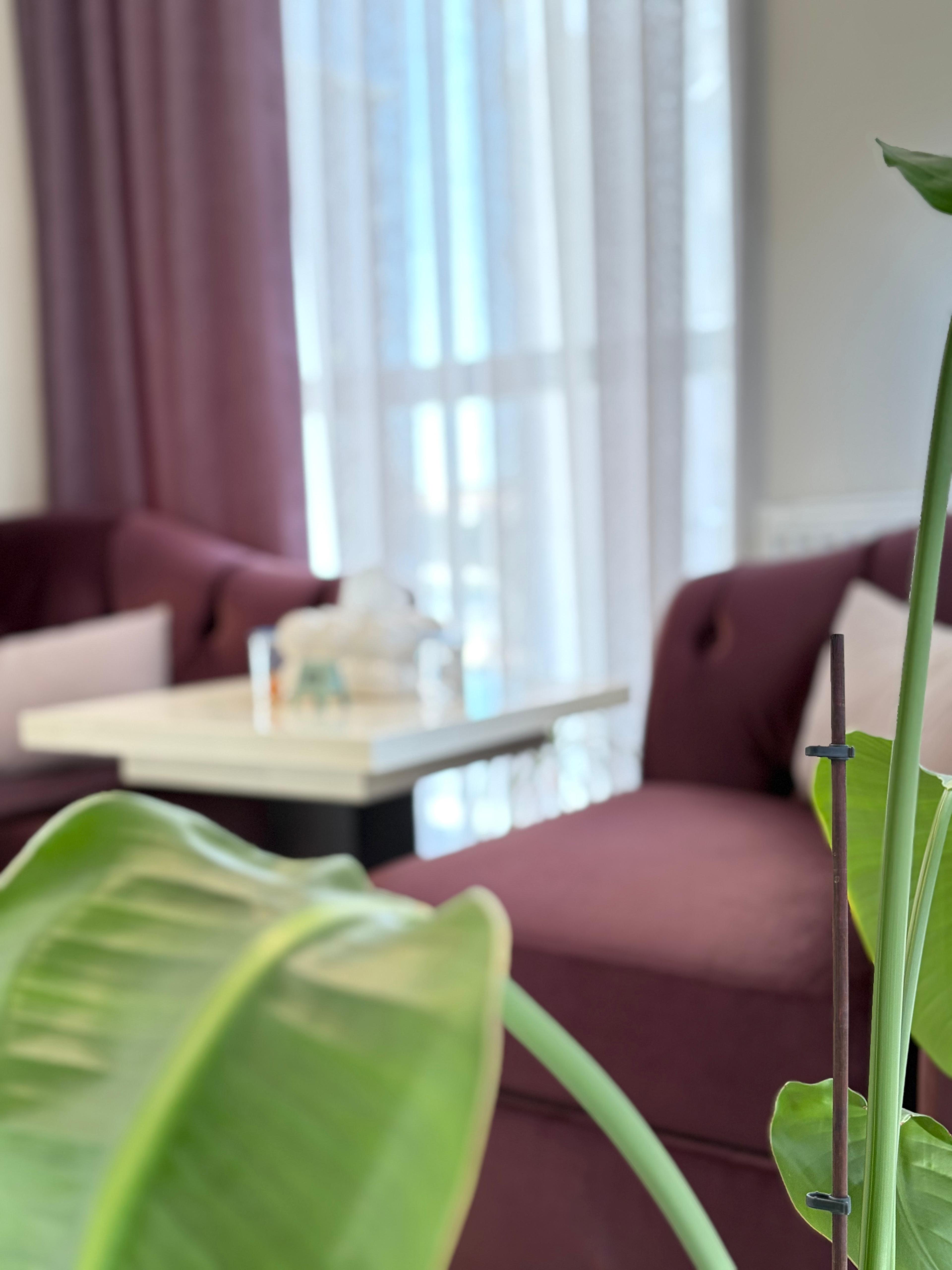 Klinik ortamı 14